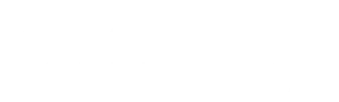 CITIZEN COLLECTION