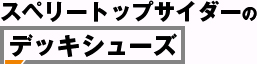 スペリートップサイダーのデッキシューズ