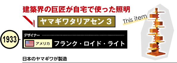 ヤマギワタリアセン 3