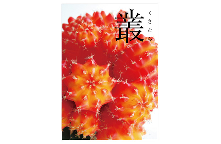 koto_1411_shop02