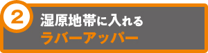 湿原地帯に入れるラバーアッパー