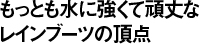 もっとも水に強くて頑丈なレインブーツの頂点