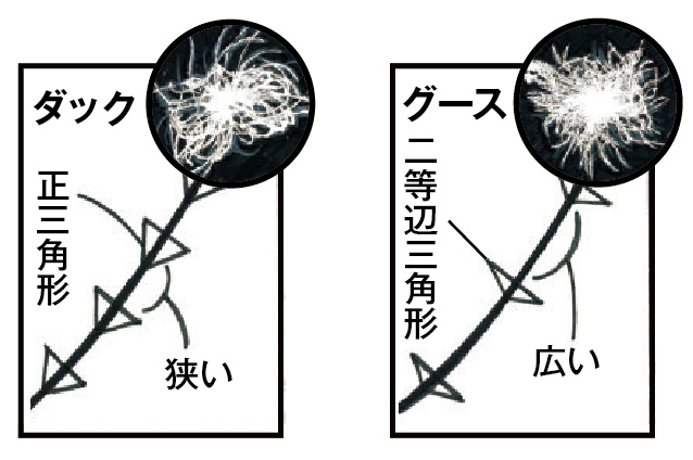 ダックとグースの違いって？