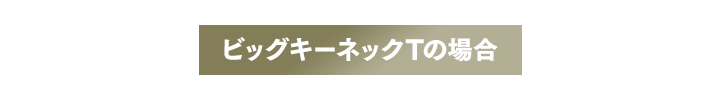 ビッグキーネックTの場合