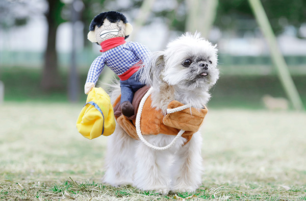 玄関先が動物園に早変わり!?｜アンブレラスタンド　ジェイル