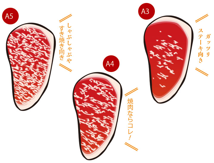 狙い目は赤身と脂身が好バランスなA4！