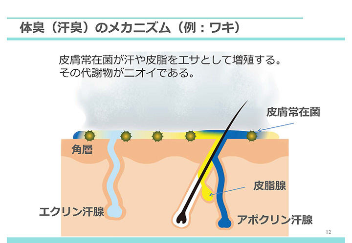 主にワキから発する汗臭について
