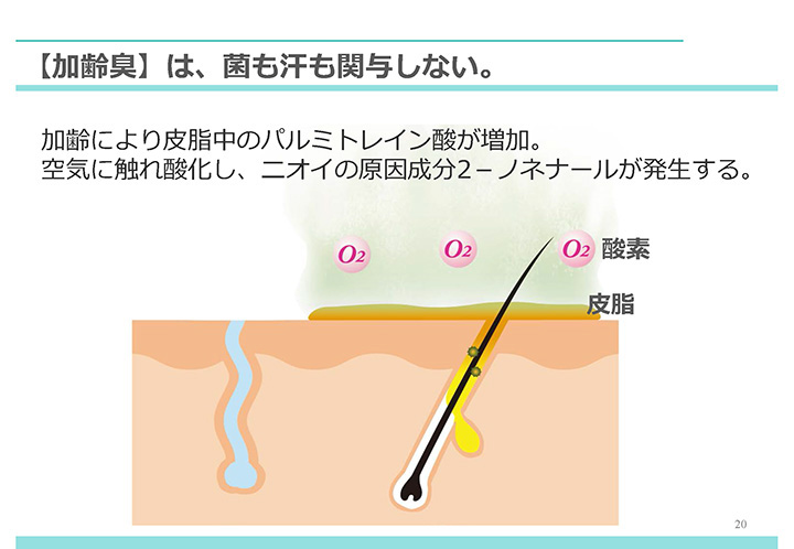 汗臭とはニオイも仕組みも異なる加齢臭