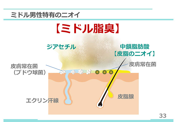 ミドル脂臭が発生するメカニズムは複雑