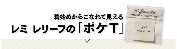 着始めからこなれて見える　レミ レリーフのポケT