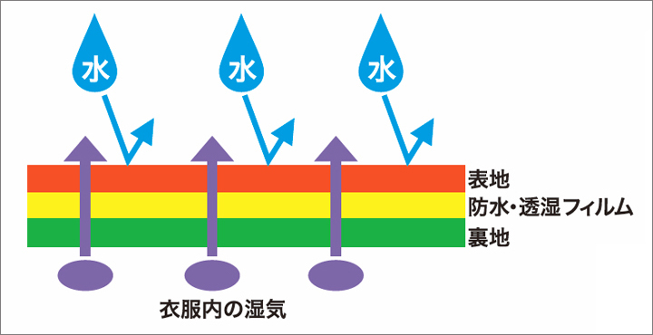 防水生地