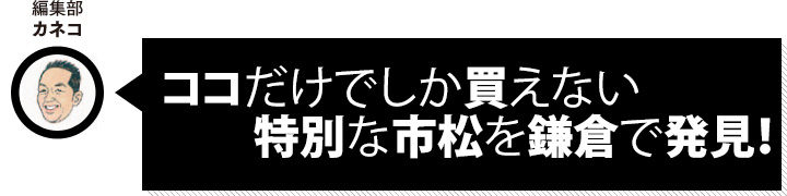 編集部 カネコ