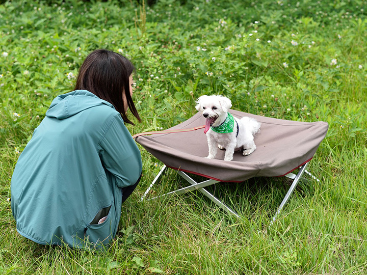 じつは室内でも大活躍するかも!? スノーピークのワンちゃん用