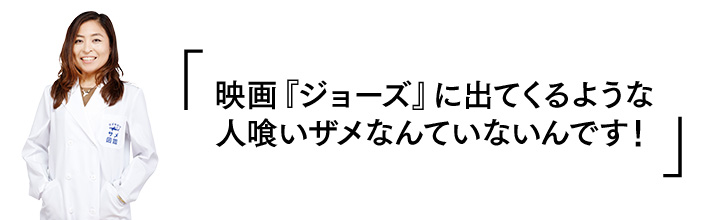 「映画『ジョーズ』に出てくるような人喰いザメなんていないんです！」
