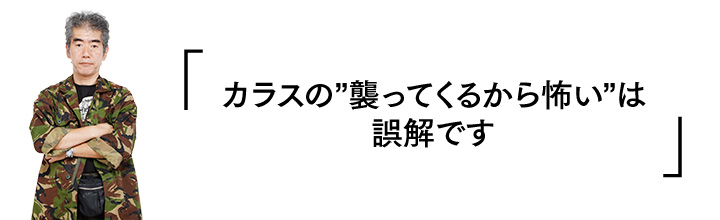 「カラスの