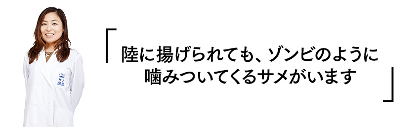 「陸に揚げられても、ゾンビのように噛みついてくるサメがいます」