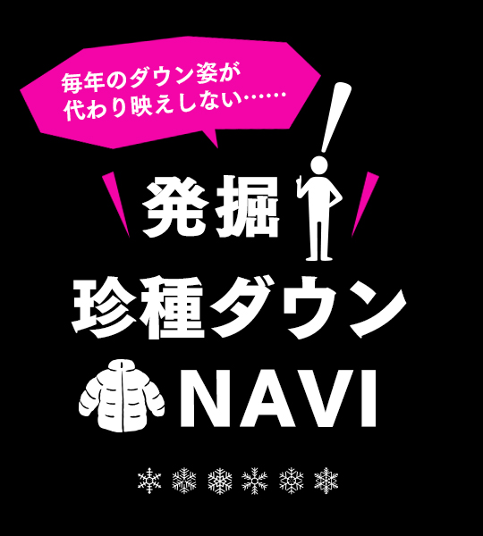 発掘！ 珍種ダウンNAVI