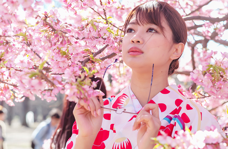 眼鏡女子と行ったお花見（2）～あのコのアイウェアが知りたい