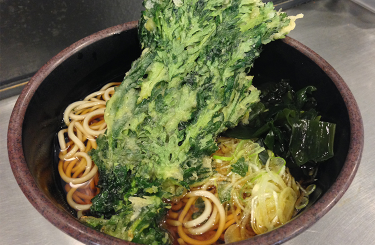 「○八(まるはち)食堂」「鳥羽水族館」「山口屋」の伊勢うどん【三重】