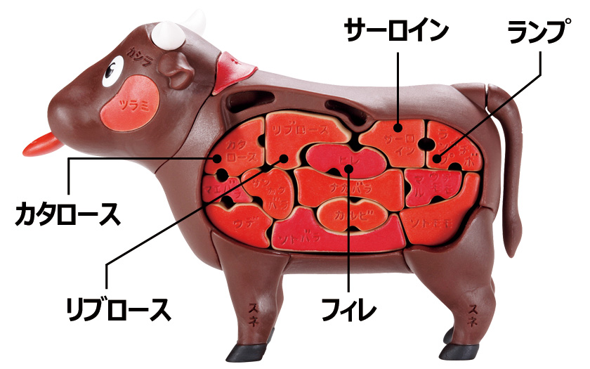 ビーフの代表的な部位