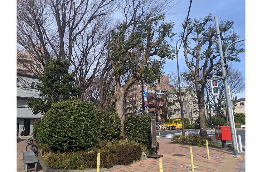 よりみちの近くにある公園