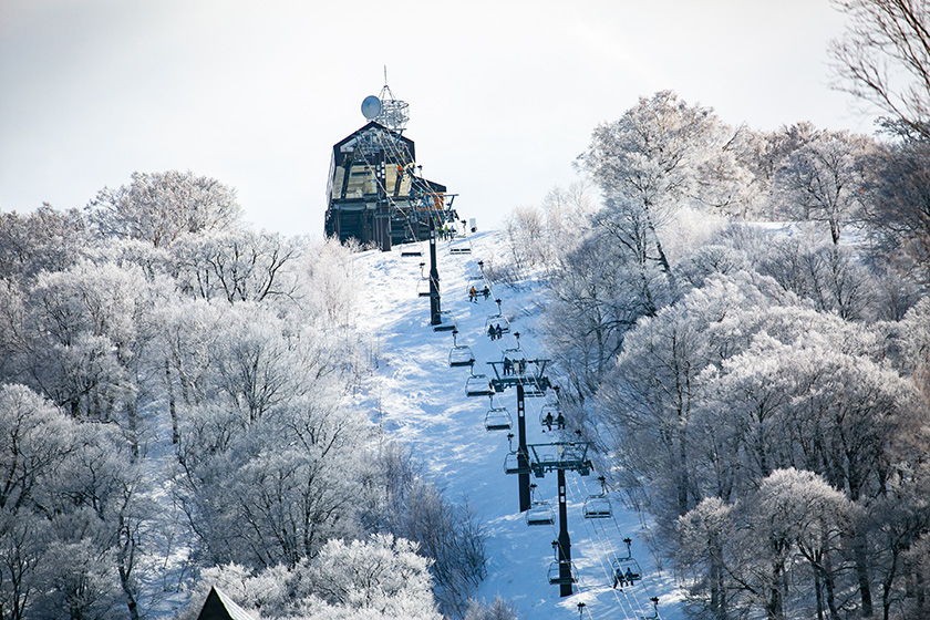 SNOW　MEETING in NOZAWA ONSEN