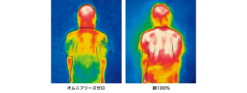 オムニフリーズゼロと綿のサーモグラフィー