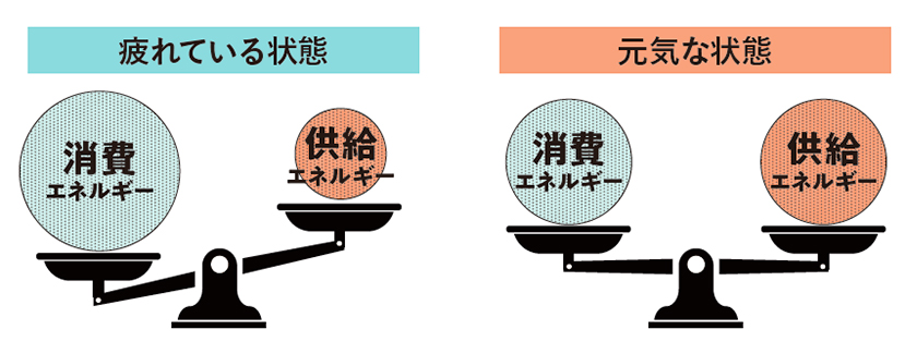 大正製薬 リポビタンDX