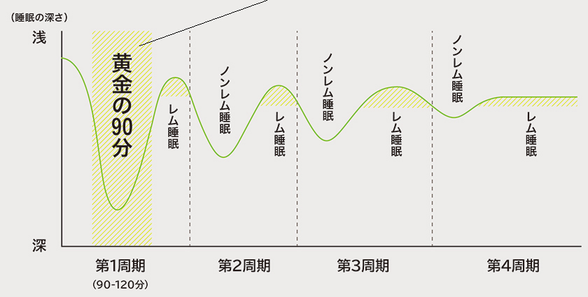 この90分がシンデレラタイム 睡眠グラフ