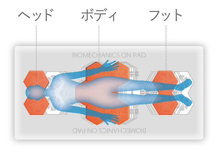 錦之堂インターナショナルのSOERU ソエルPAD