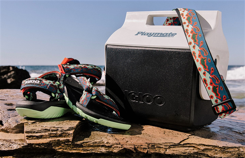 テバのハリケーン XLT 2 イグルーとイグルーのプレイメイト