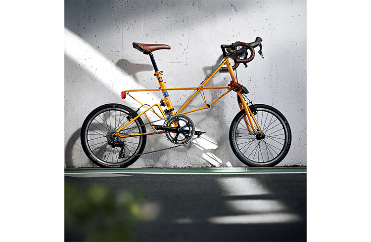 c_2208_standard_67_shibui_s.jpg c_2208_standard_67_shibui_s.jpg