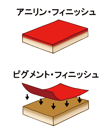 アニリン・フィニッシュ ピグメント・フィニッシュ