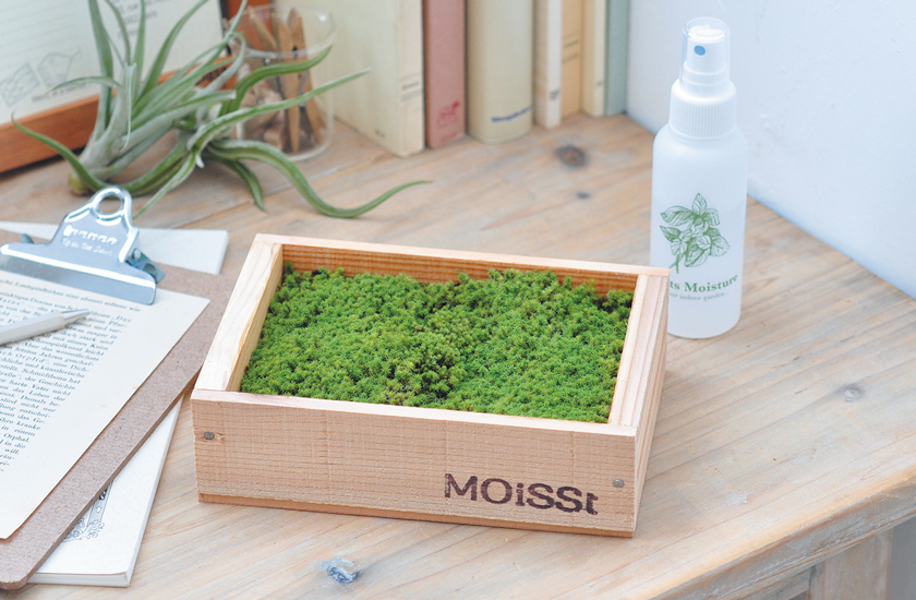 MOiSSt MOSS