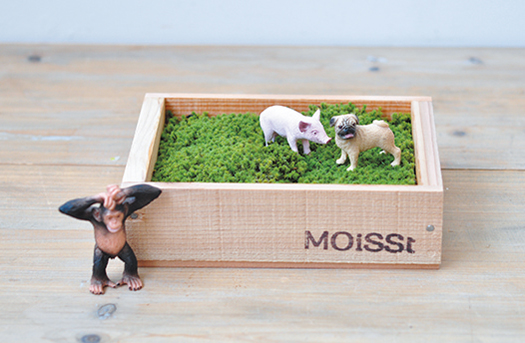 MOiSSt MOSS