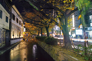 木屋町通り