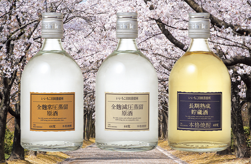 いいちこの原酒3本セット