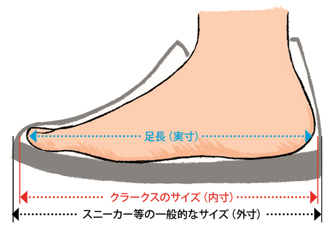 ワラビーとその仲間たち増殖中。 クラークスの正しいサイズ選び方もご