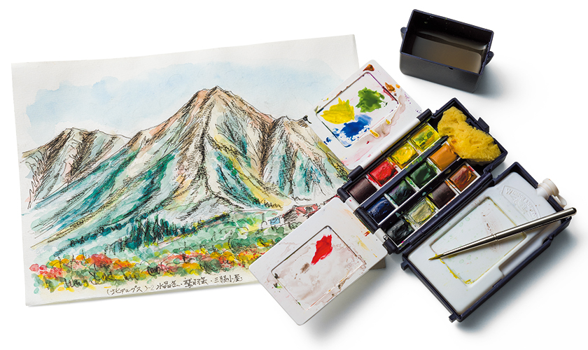 WINSOR NEWTON ウィンザー ニュートンのプロフェッショナル水彩 ハーフパン 12色 フィールドBOXセット