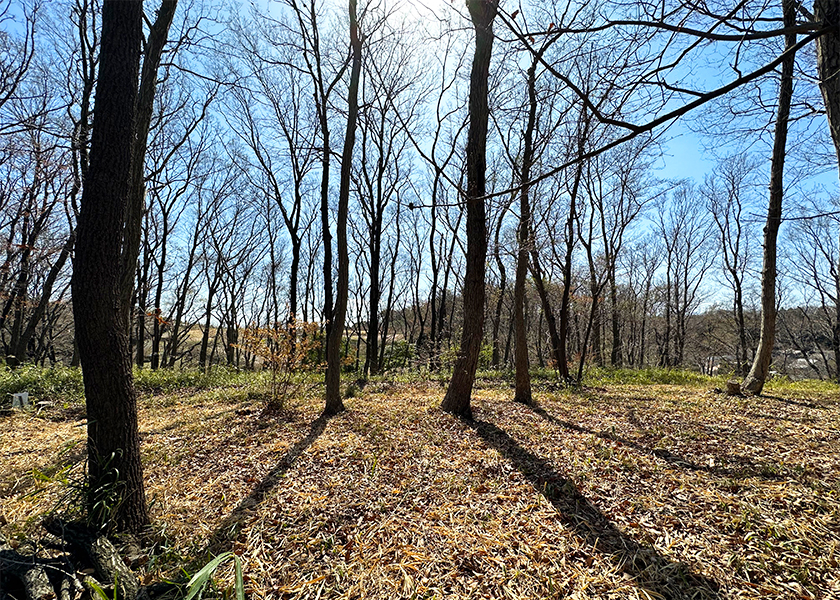 町田薬師池公園