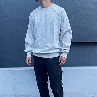 Healthknit ヘルスニットのクラシックスウェット