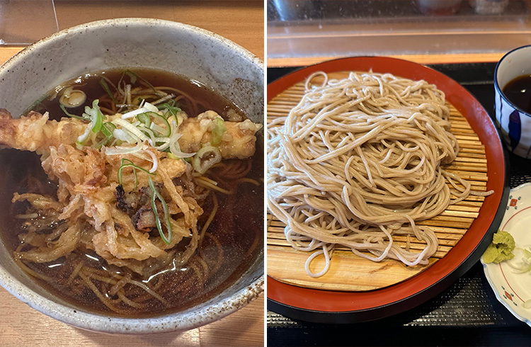 「○八(まるはち)食堂」「鳥羽水族館」「山口屋」の伊勢うどん【三重】