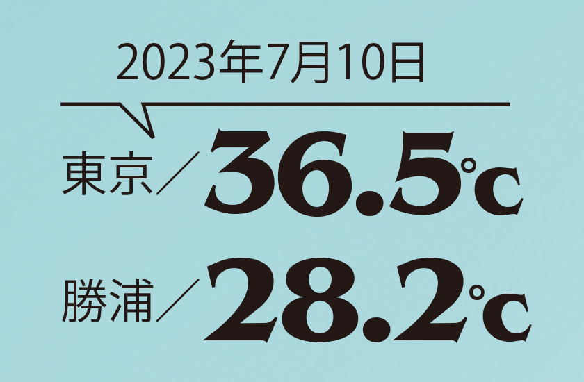 なぜ勝浦が涼しいのか？ 2023年のデータ
