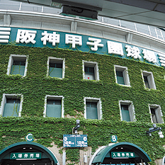 甲子園球場