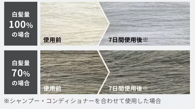 hoyu ホーユー メンズビゲン シックグレーシャンプー＆コンディショナー