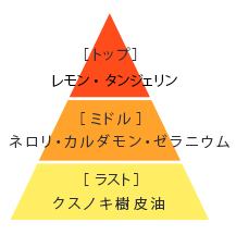 N organic vie リンクルパック エッセンス
