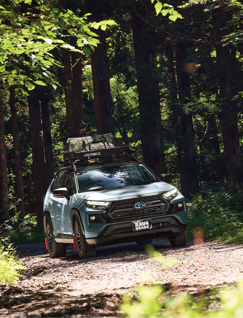 TOYOTA RAV4