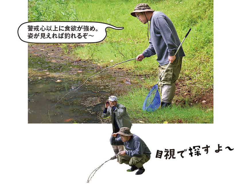 ザリガニつり