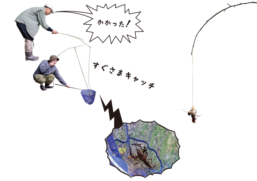 ザリガニつり