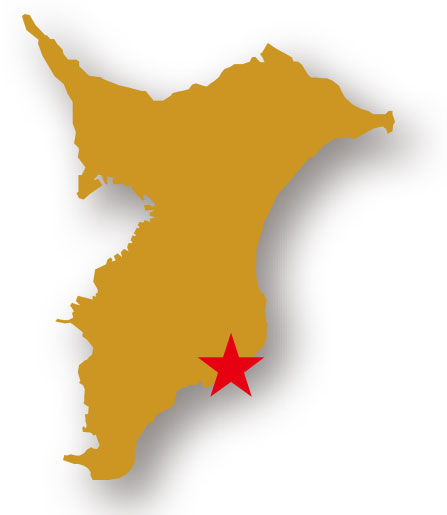 勝浦市